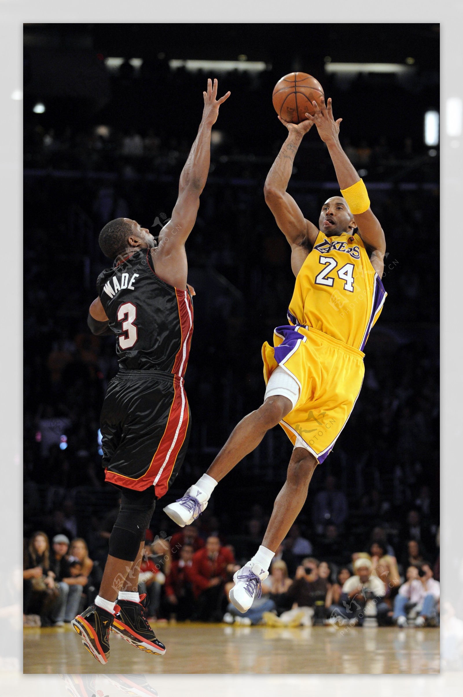 重三项隐性 重三项隐性