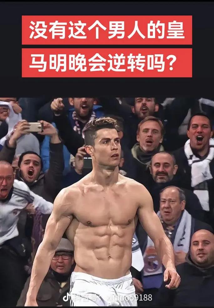与盾反
